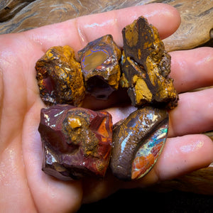 482.9cts - 5x Yowah Nut Opal Rough Parcel. Australian Boulder Opal