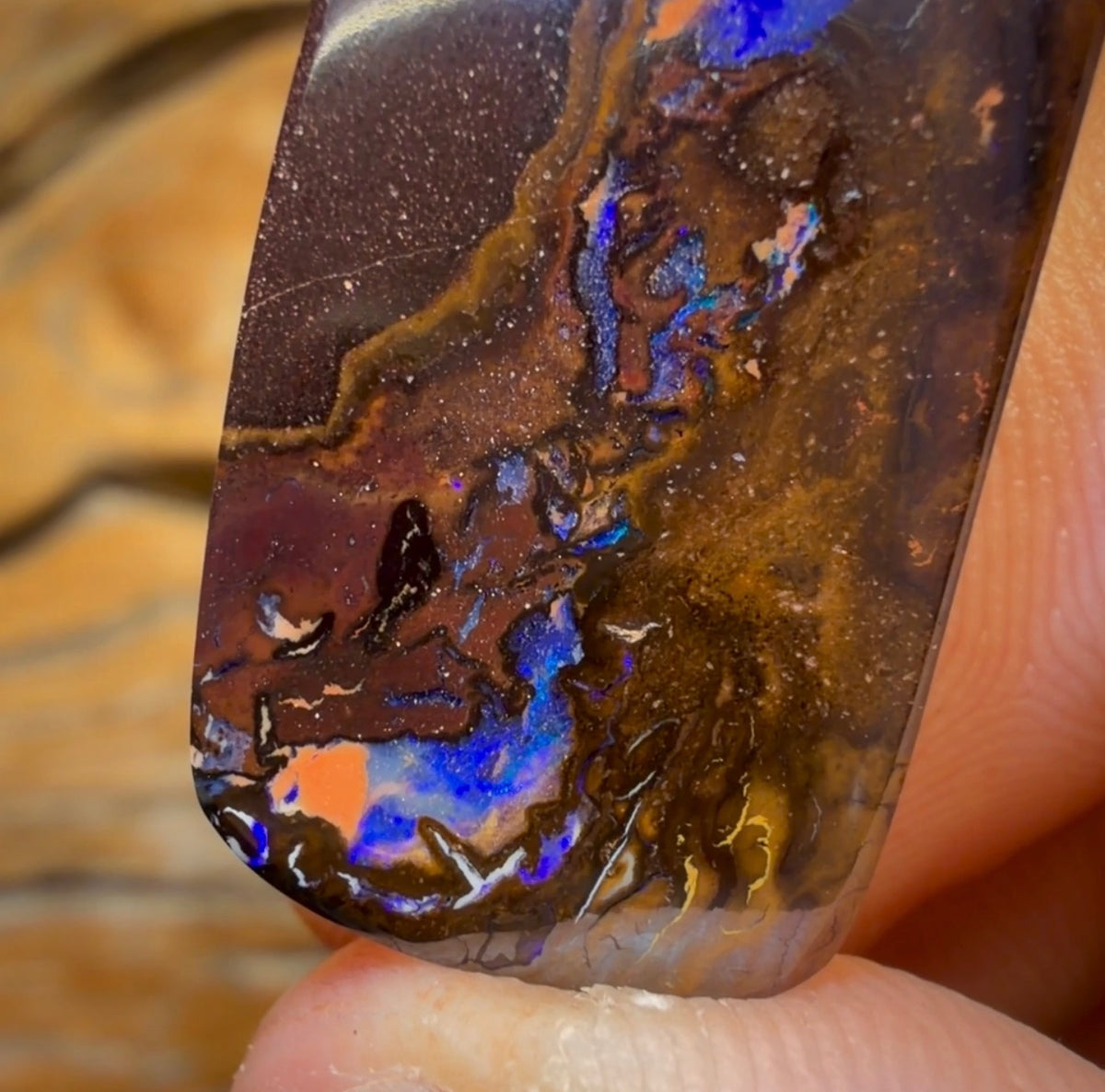 45.8cts - Queensland Boulder Opal from Koroit