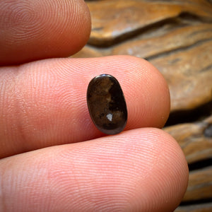 1.3cts - Queensland Boulder Seam Opal from Winton