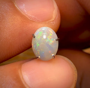 Auction Fall-Through = Your Gain! 🔥 Now More Than 50% Off RRP 🚨 0.85cts - South Australian White Opal
