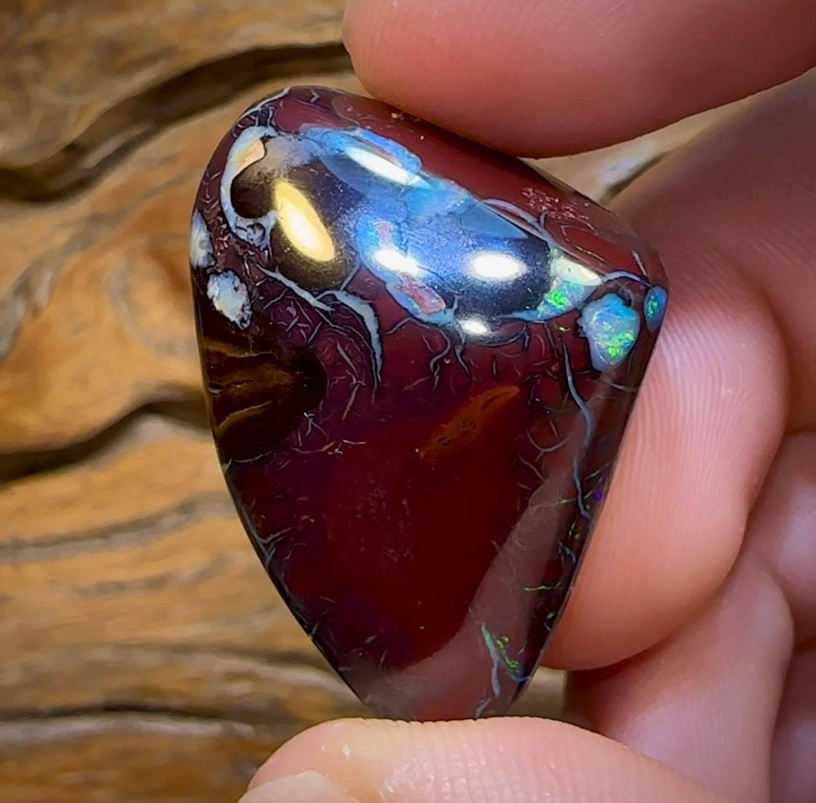 113.2cts - Polished Koroit Nut Opal Specimen - Opal Whisperers