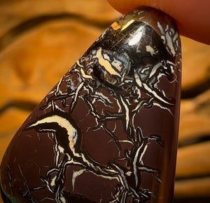 42.6cts - Queensland Boulder Opal from Koroit