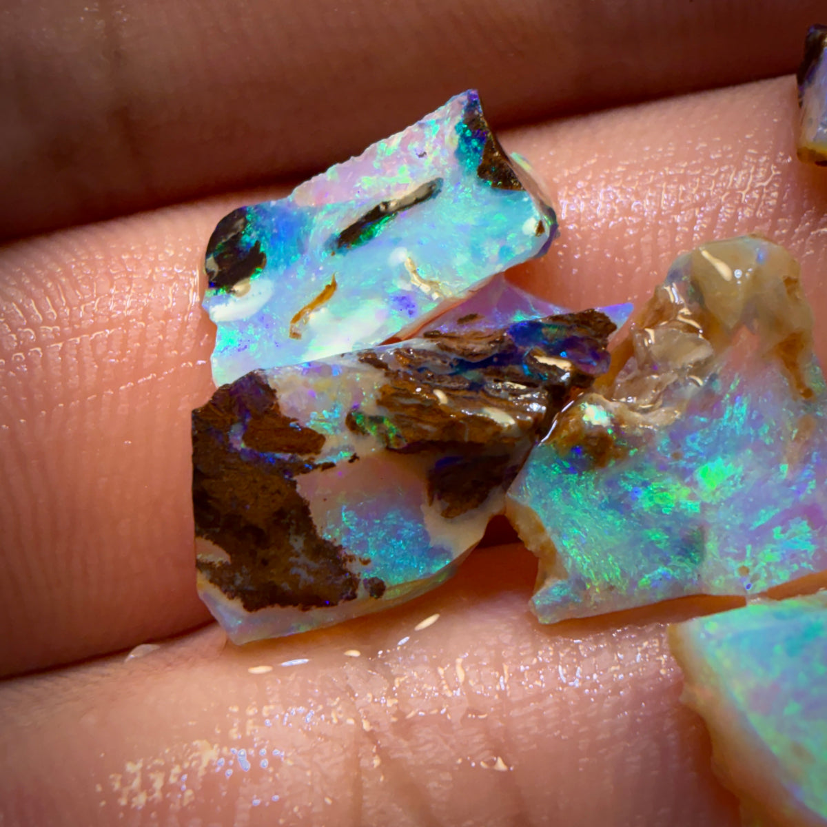 17.8cts - 6x Australian Yowah Wood fossil Crystal Opal Rough Pieces. Highly Prized Material