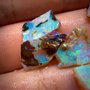 17.8cts - 6x Australian Yowah Wood fossil Crystal Opal Rough Pieces. Highly Prized Material