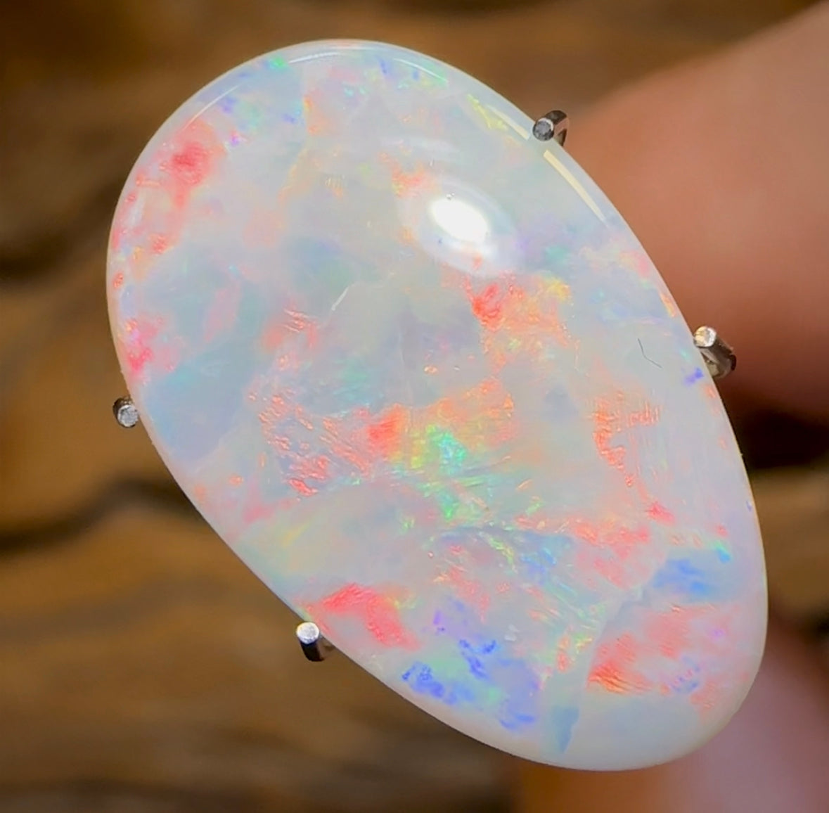 3.3cts - Lightning Ridge Light Opal - Opal Whisperers