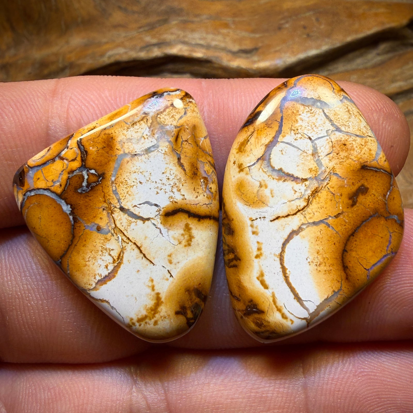 49.2cts - Tribal Queensland Boulder Opal Pair