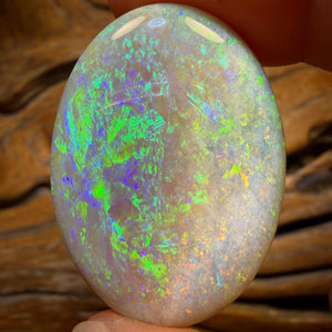 49.5cts - Large South Australian Crystal on Unique “Mother of Matrix” Multicolours!