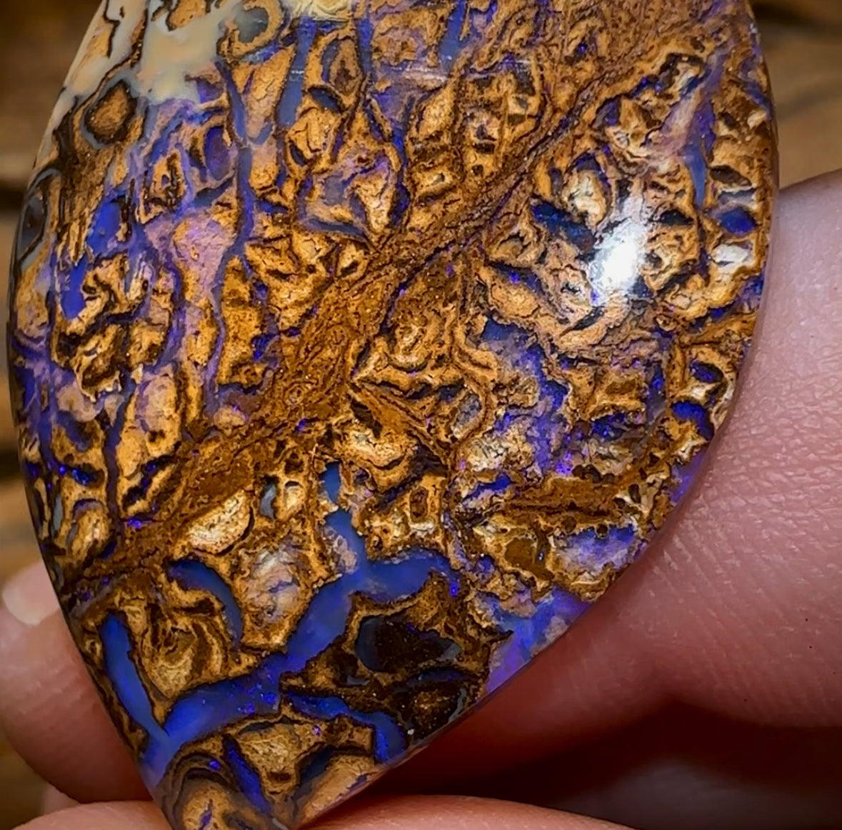 35.7cts - Yowah Nut Tribal Opal - Opal Whisperers