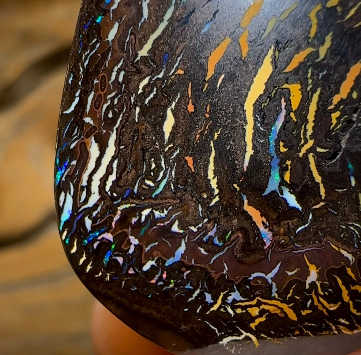 48.3cts - “Tribal Dance”Koroit Nut Tribal Opal. Australian Opal - Opal Whisperers