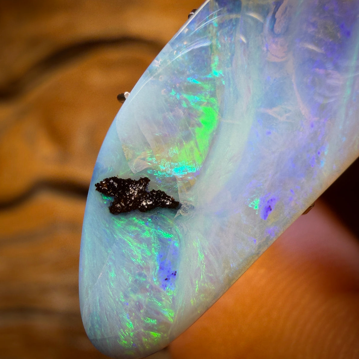 Bargain Card! 12.9cts - Queensland Boulder Seam Opal