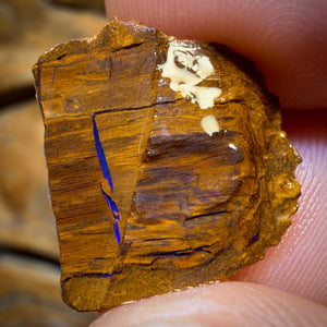 58.5cts - Opalised Wood/Vegetation Fossil Rough Pair from Yowah