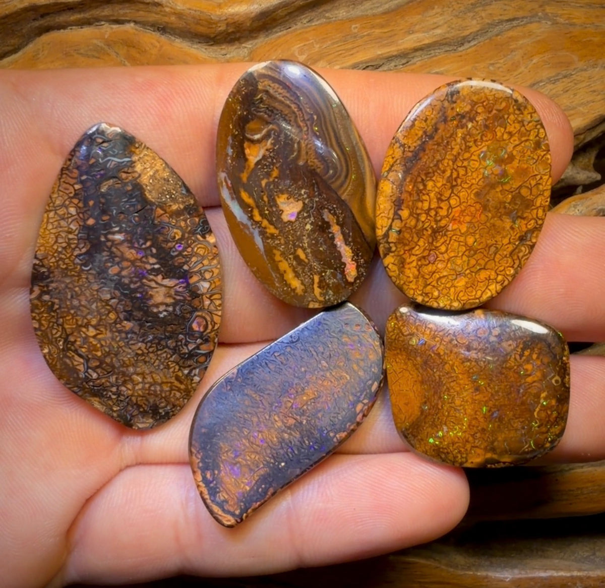 🔒 174.7cts - 5x Australian Tribal Boulder Opal’s. Wholesale Dealers Parcel