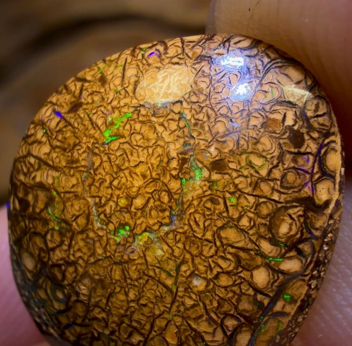 17.1cts - Tan Tribal Yowah Nut Opal. Australian Opal