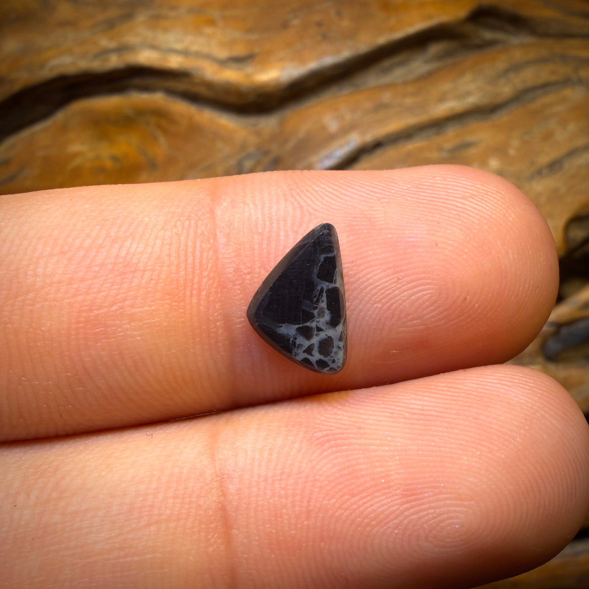 🔨 AUCTION 🔨 0.9cts - “Sheet Green” Lightning Ridge Opal Doublet