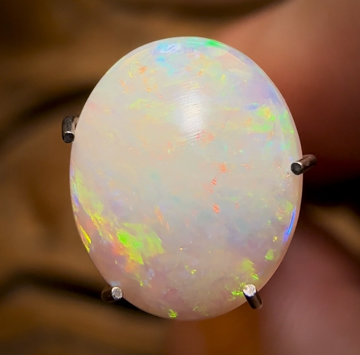 Auction Fall-Through = Your Gain! 🔥 Now More Than 50% Off RRP 🚨 1.65cts - South Australian White Opal