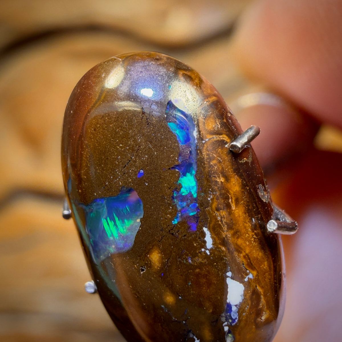 5.9cts - Australian Boulder Opal from Yowah