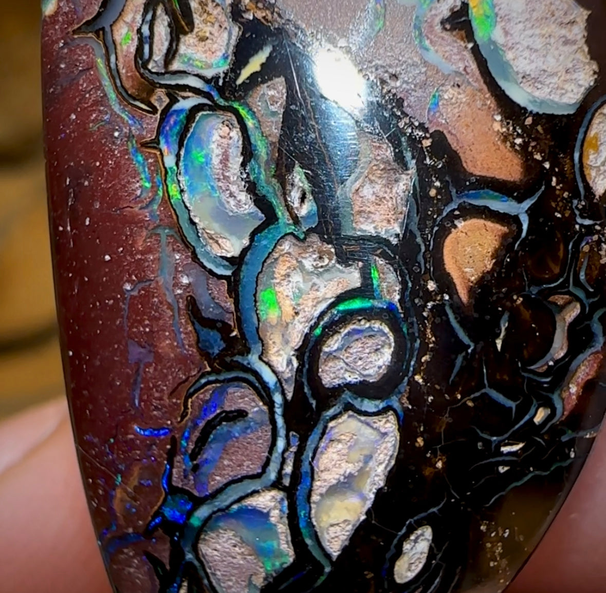 47.8cts - Tribal Koroit Nut Opal. Australian Opal - Opal Whisperers