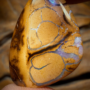 19.1cts - Tribal Yowah Nut Opal. Australian Opal Bargain