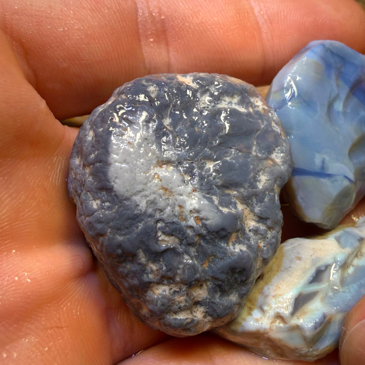 176,2 ct – 3x Lightning Ridge Opal Rohsteinpaket