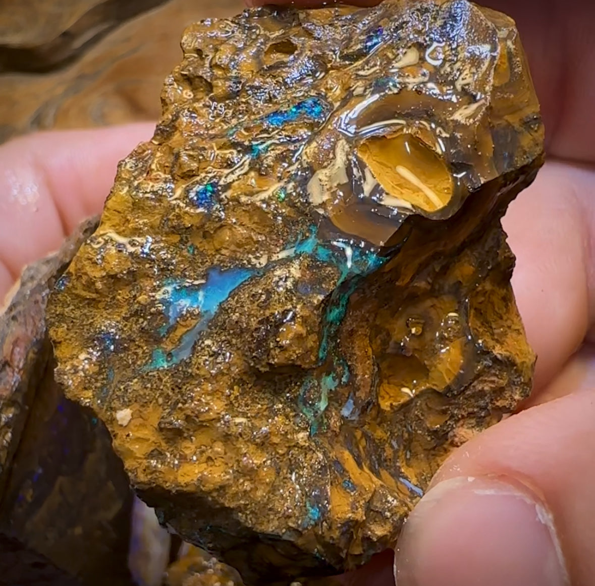 1563cts - 8x Yowah Opal Rough Parcel. Australian Boulder Opal