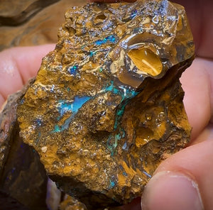 1563cts - 8x Yowah Opal Rough Parcel. Australian Boulder Opal