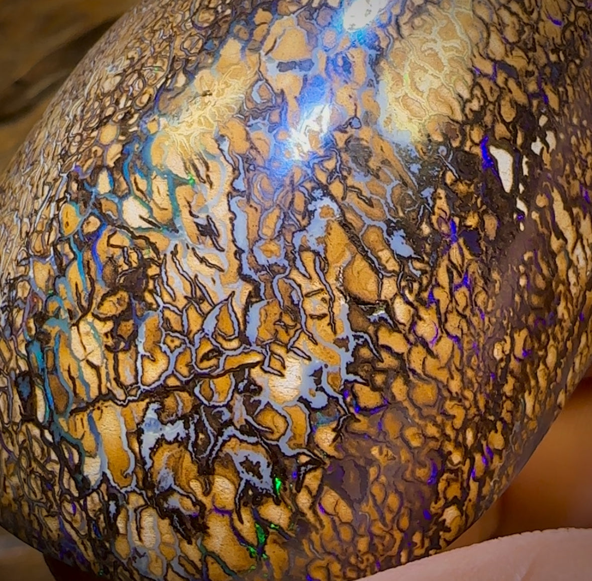 574.5cts - Large Tan Tribal Queensland Boulder Opal. Polished Specimen