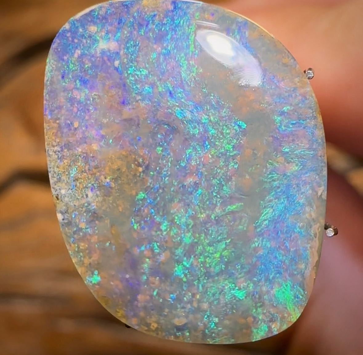 10.6cts - Queensland Boulder Seam Opal from Winton - Opal Whisperers