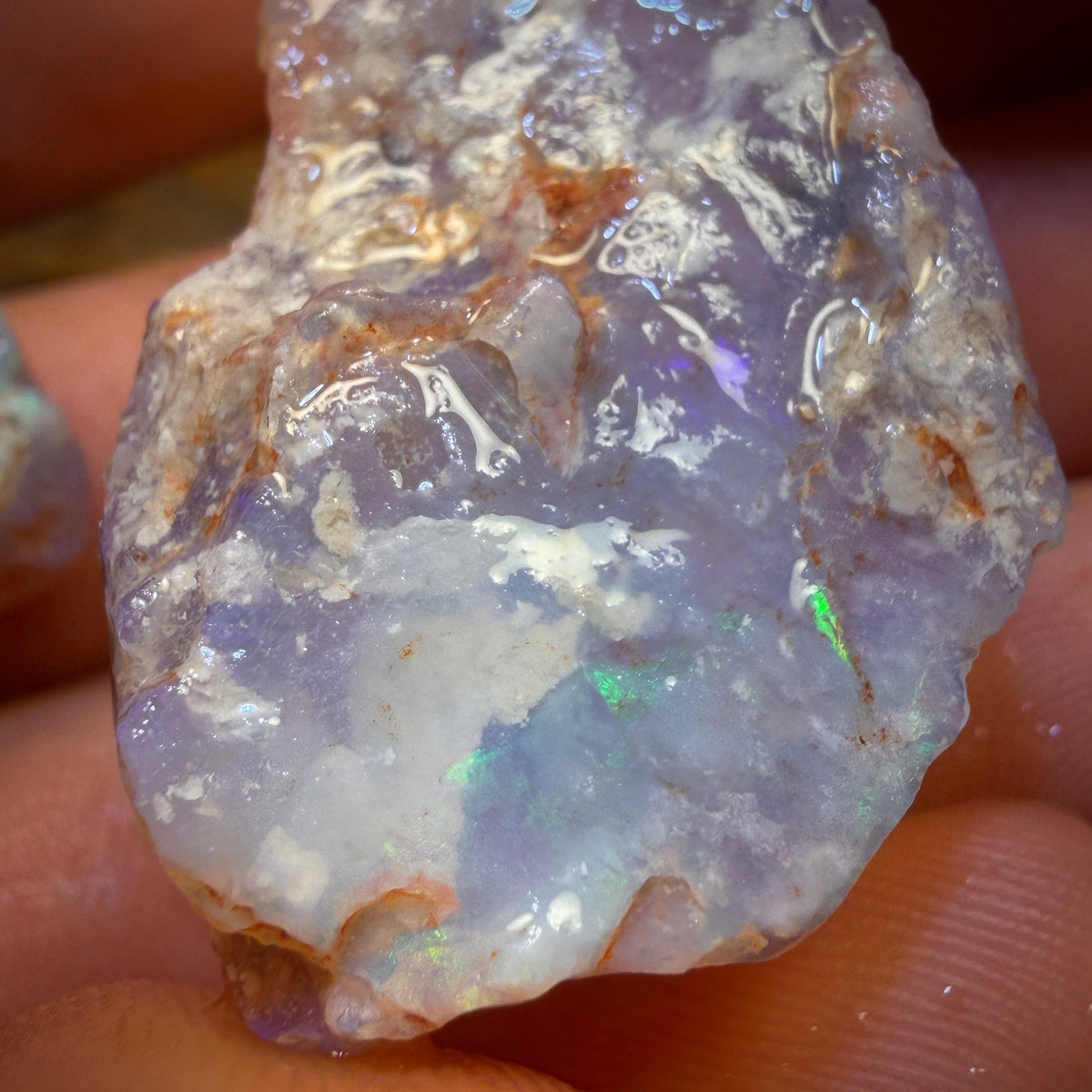 60.4cts - 2x Lightning Ridge Opal Rough Pieces