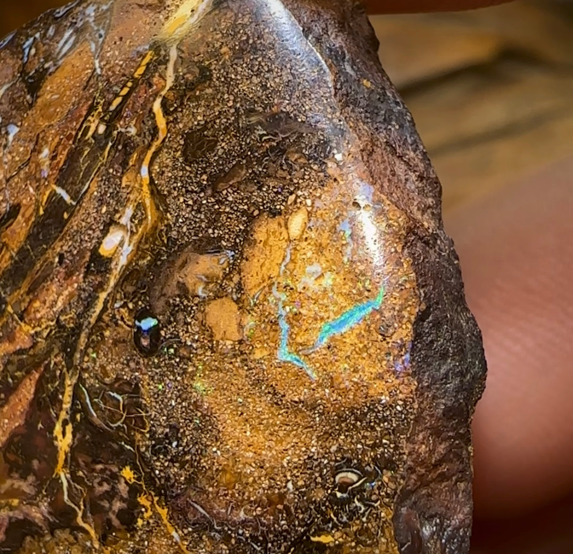 257.5cts - Australian Yowah Nut Kernel Boulder Opal Specimen Polished - Opal Whisperers