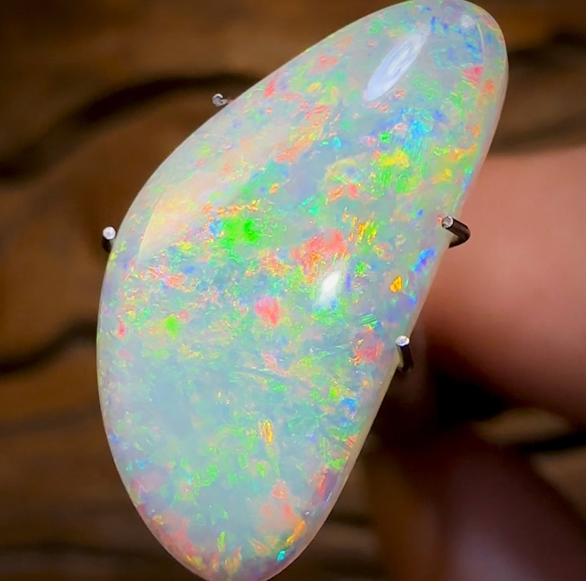 5.25cts - GEM QUALITY Lightning Ridge Crystal Opal - Opal Whisperers