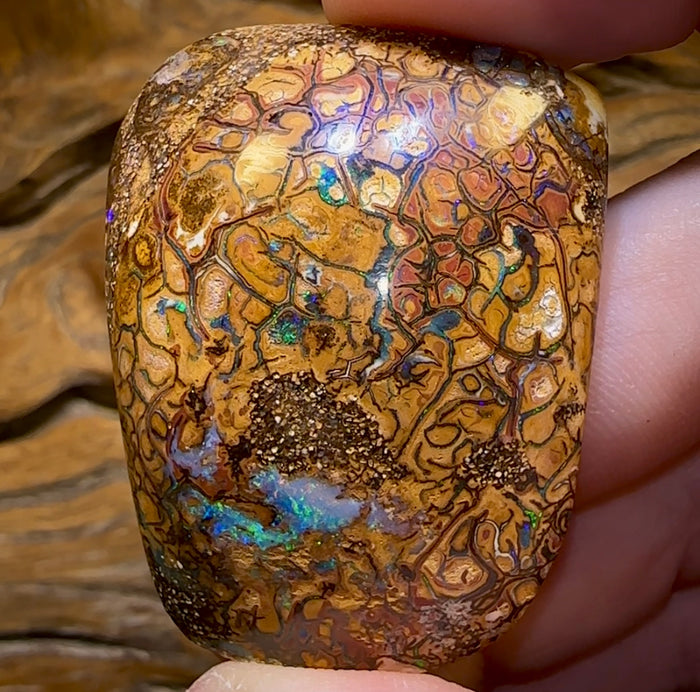 108.3cts - Huge Queensland Boulder Opal. Yowah Tribal Specimen / Oversized Jewellery Bargain - Opal Whisperers