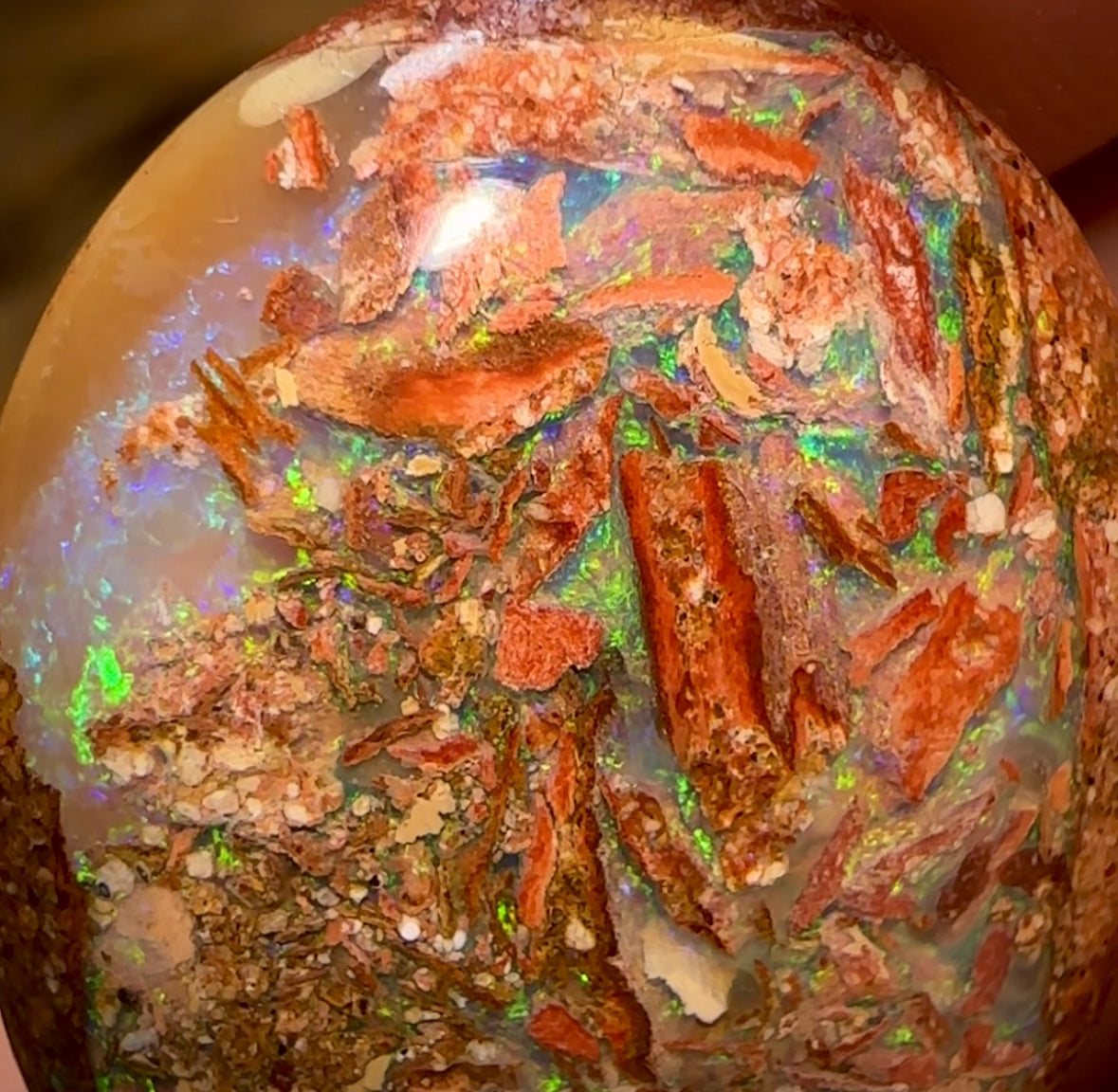 34.9cts - 3x Finished Queensland Boulder Pipe Opals. Wholesale Dealers Parcel