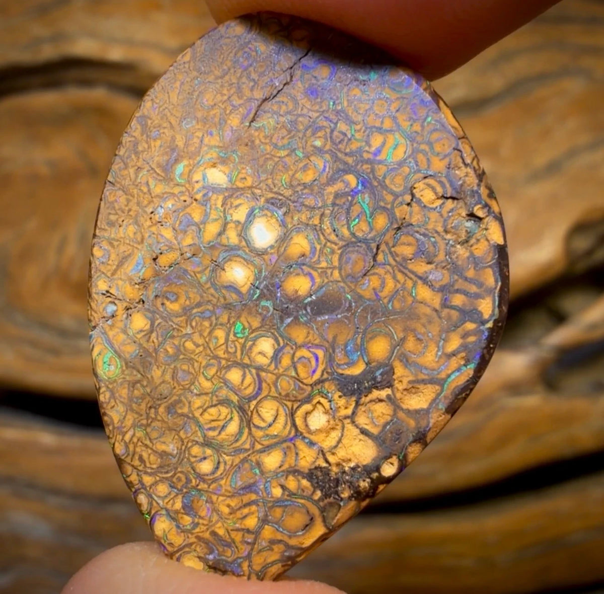 Dad Card! 18.6cts - Tan Tribal Australian Boulder Opal from Yowah