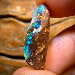 34,2 cts - Opale de gisement boulder du Queensland