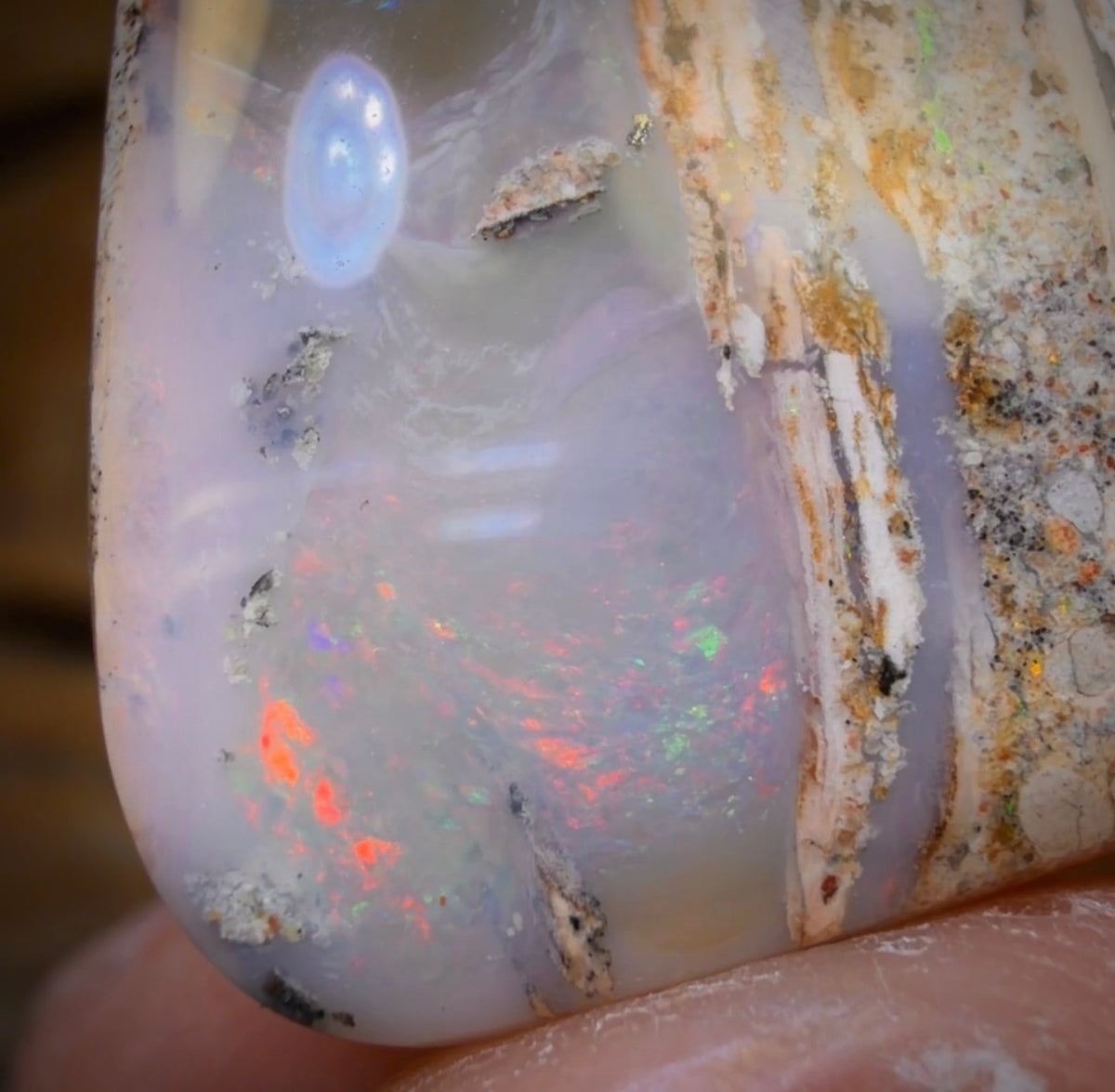 29.2cts - Solid Australian Boulder Pipe Opal Cool Picture Stone