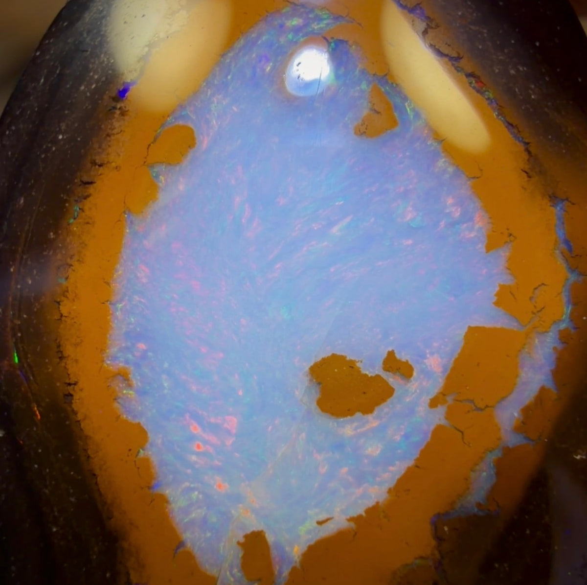 24.5cts - Rare Yowah Nut Crystal Centre Opal. Australian Boulder Opal