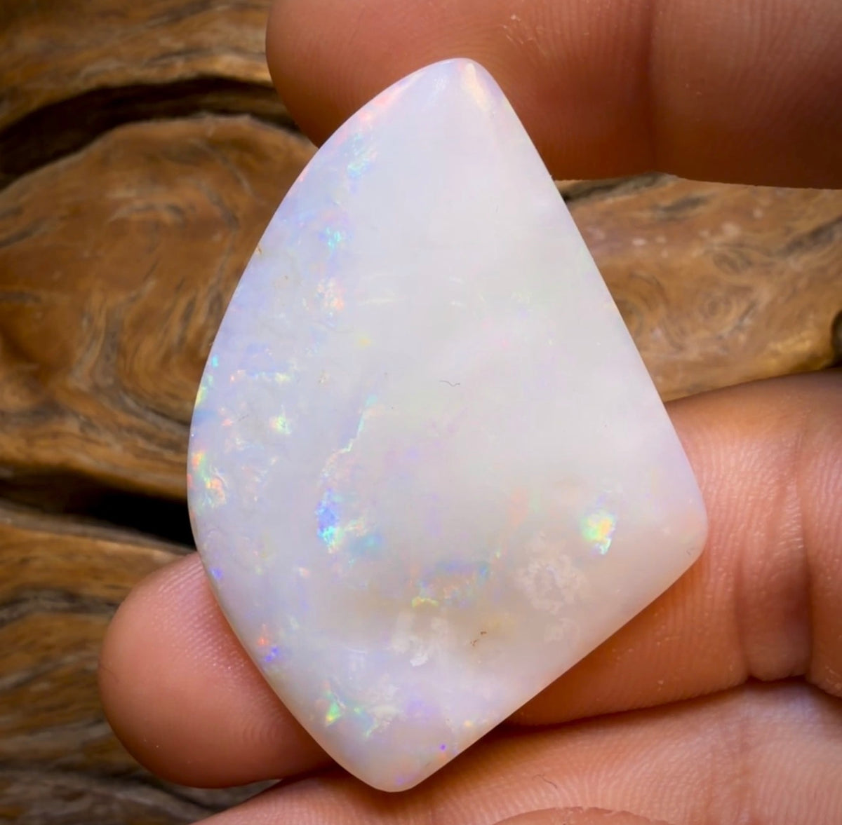 44.8cts - Large Top Olympic, South Australian White Opal