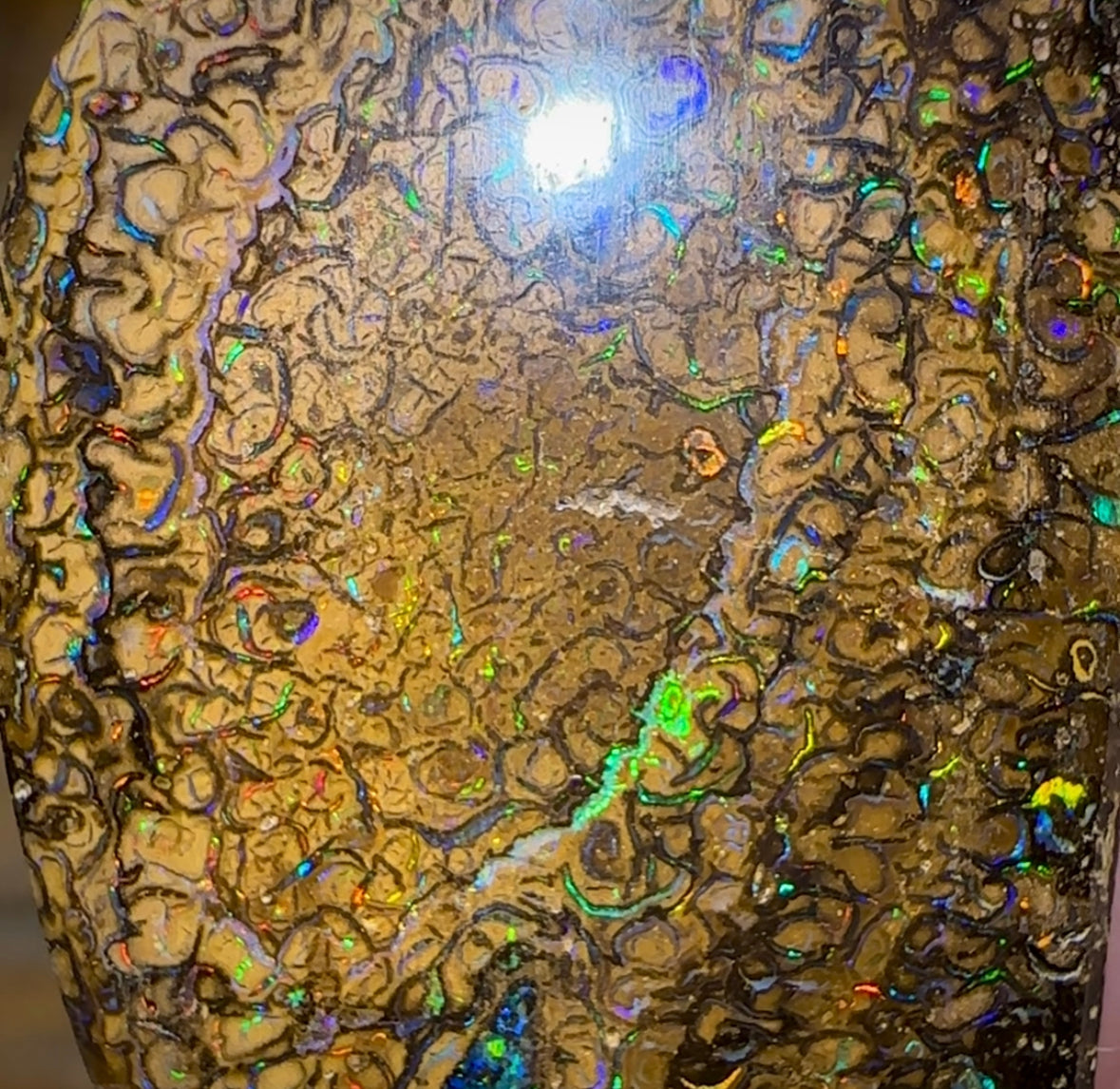 51.3cts - Yowah Nut Tribal. Australian Boulder Opal - Opal Whisperers