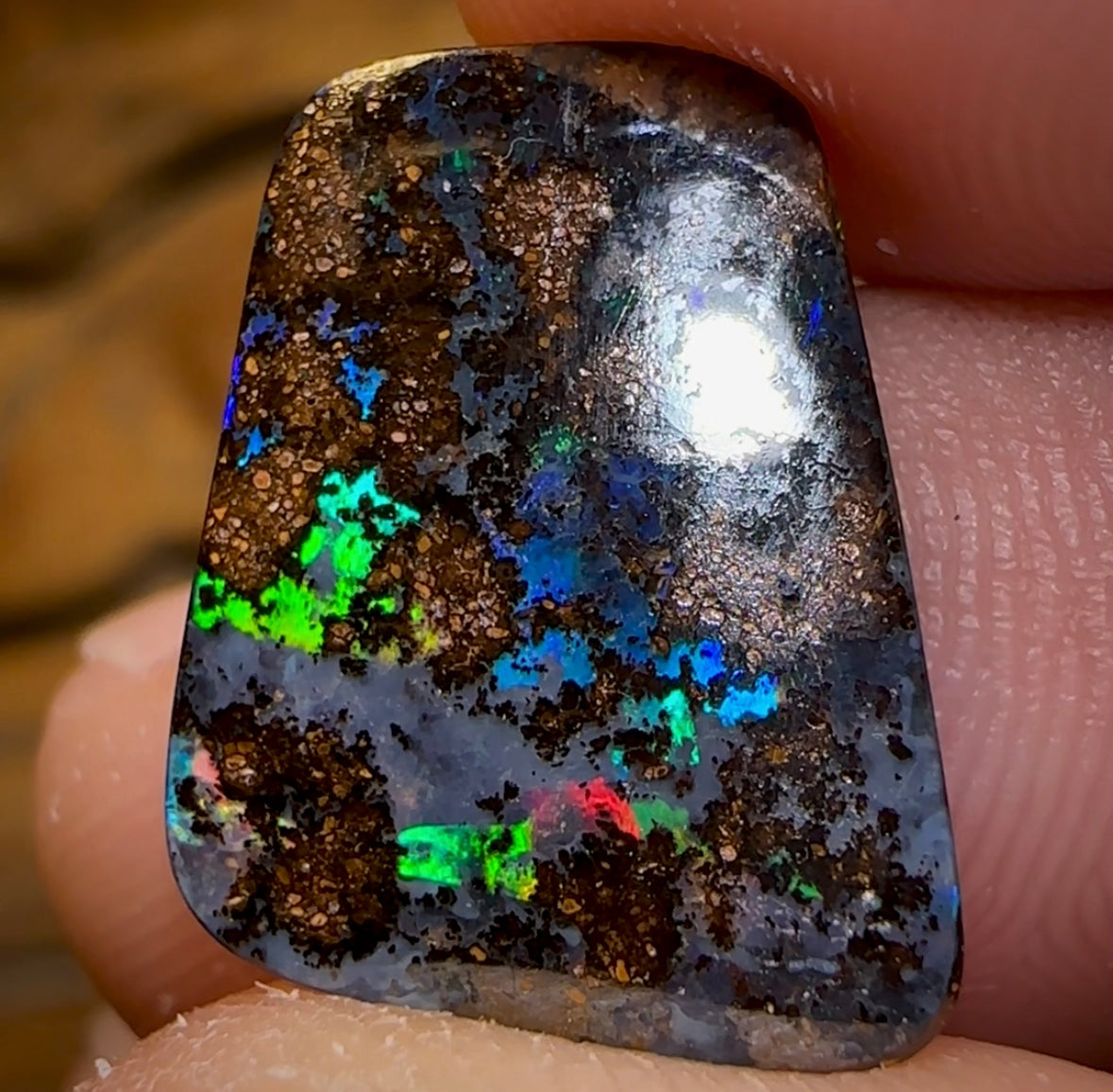 Opal Consultancy: Live Video Sessions with the Experts & Save Up to 30% - Opal Whisperers