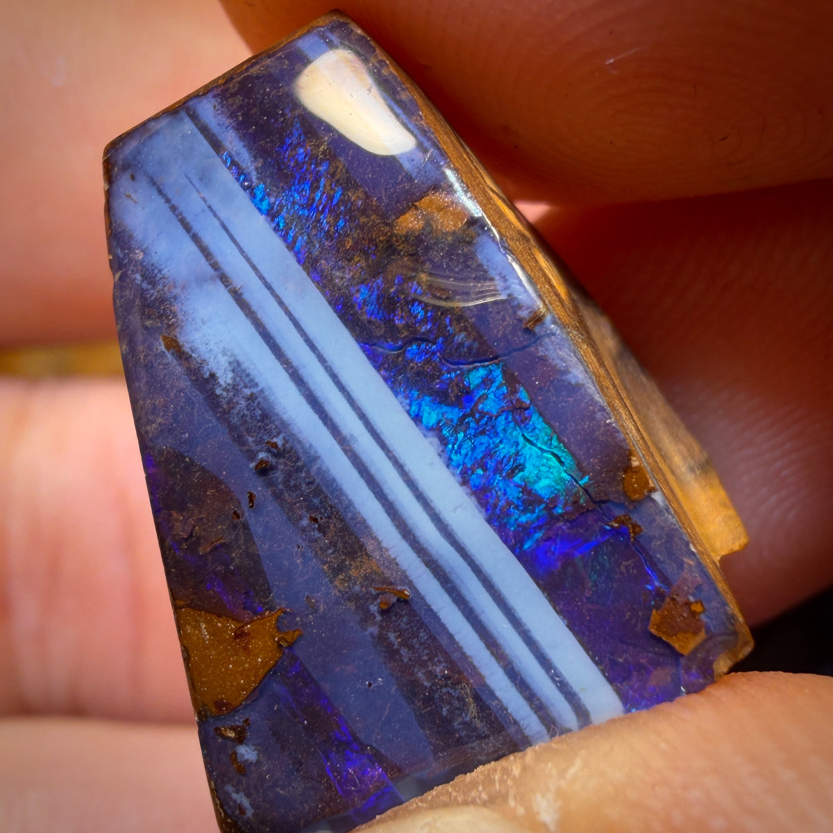 39.2cts - Australian Boulder Seam Opal Polished Specimen Pair