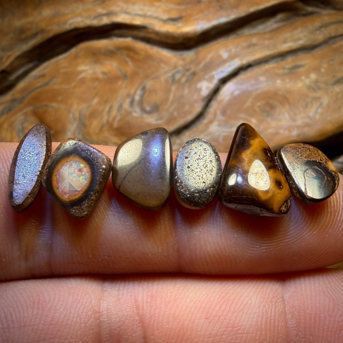 🔒15.4cts - 6x Australian Boulder Opal’s. Wholesale Dealers Parcel