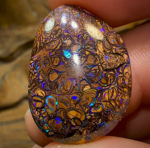 33.7cts - Yowah Nut Opal. Tribal Pattern