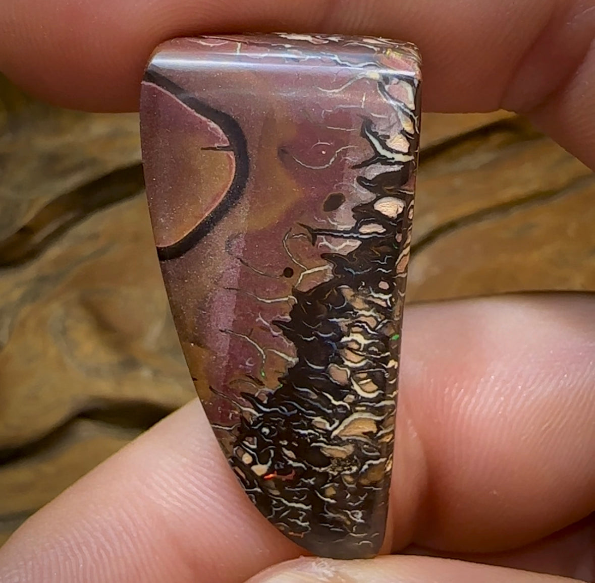 72.9cts - Yowah Nut Opal. Top Tribal Pattern - Opal Whisperers