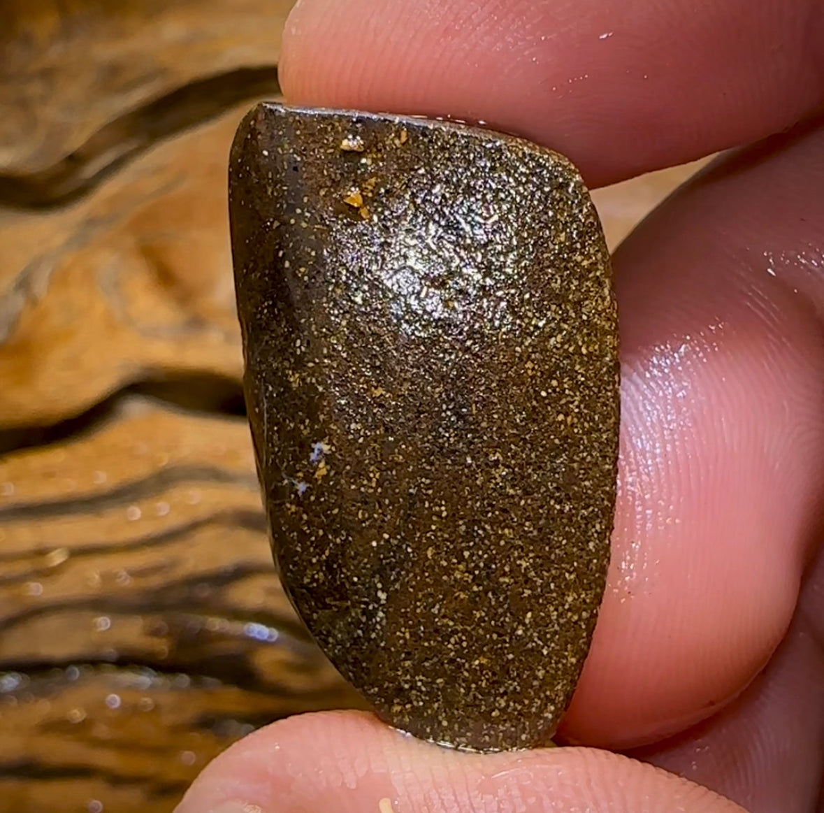40.2cts - Australian Boulder Opal Rough Preform. Natural Split Landscape Picture Stone - Opal Whisperers