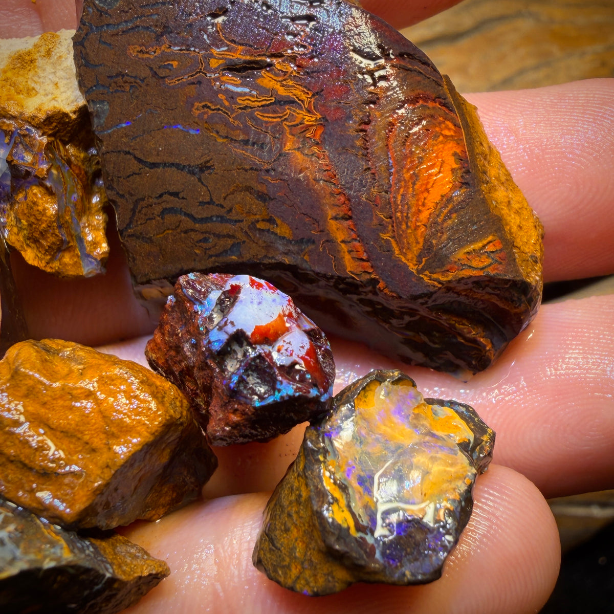 302.1cts - 13x Yowah Nut Rough Opal Parcel. Australian Boulder Opal