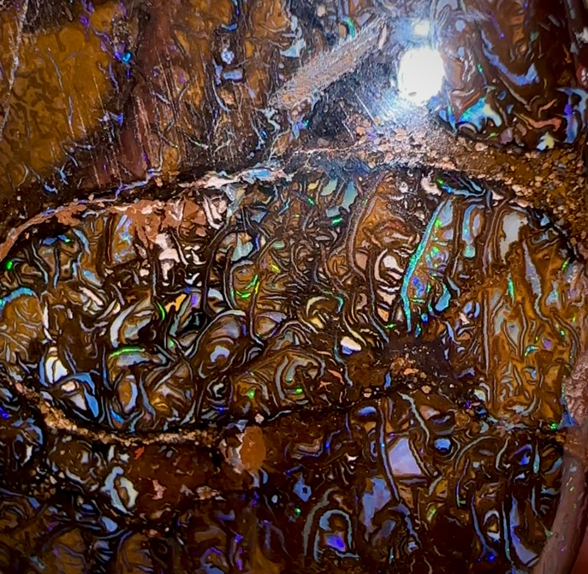 95.5cts - Double Sided Queensland Boulder Opal. koroit Tribal - Opal Whisperers