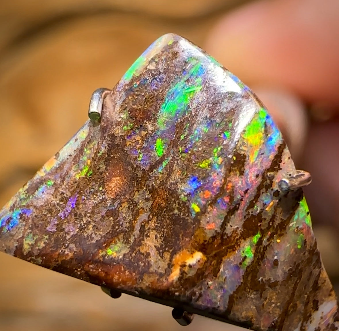 Auction Fall-Through = Your Gain! 🔥 Now More Than 50% Off RRP 🚨 3.2cts - Rare Queensland Boulder Opal Fossil Wood Rub from Yowah with Red