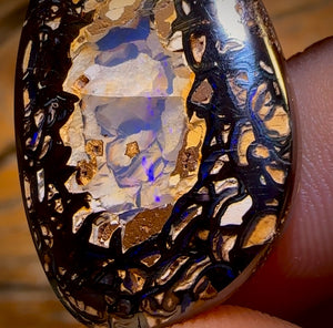 42.7cts - RARE Koroit Nut Crystal Centre Opal