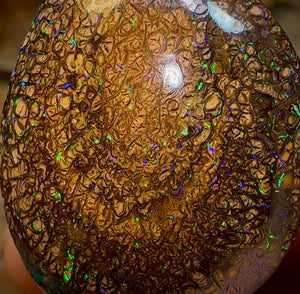 49.7cts - Australian Boulder Opal. Yowah Tribal