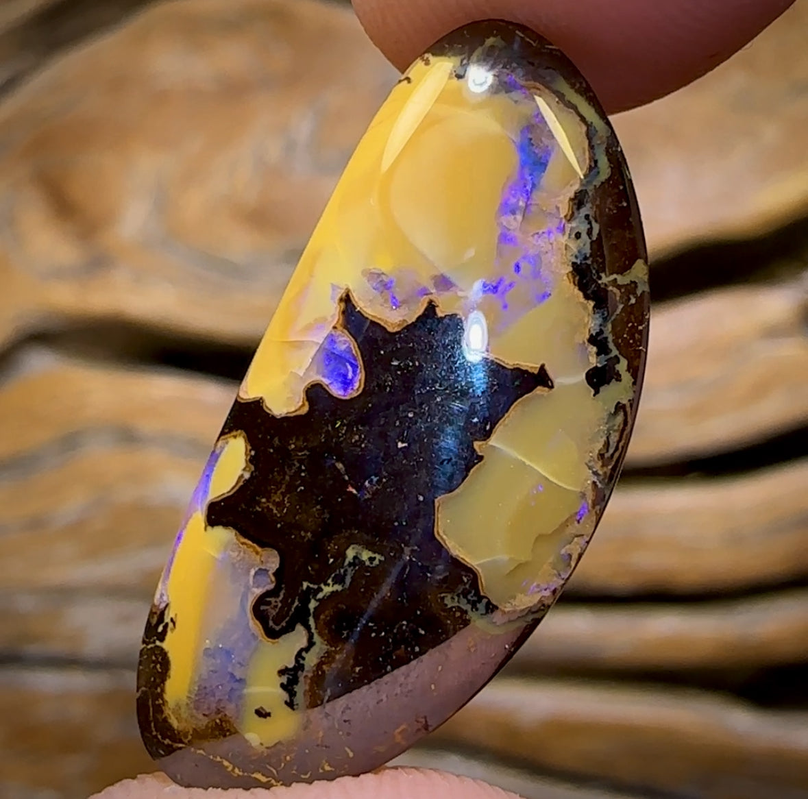 🔨 AUCTION 🔨 No Reserve 15.9cts - Yowah Nut Opal. Australian Boulder Opal